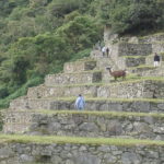 machu-picchu-1374188