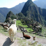 machu-picchu-1520386-1280x960