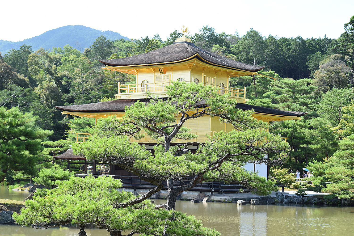 Kinkaku Ji Templo Do Pavilhao Dourado Viaja Certo