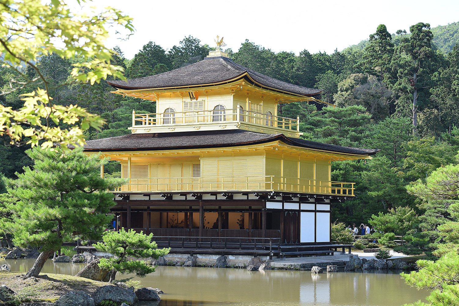 Kinkaku Ji Templo Do Pavilhao Dourado Viaja Certo